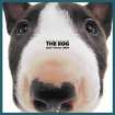 Bull Terrier